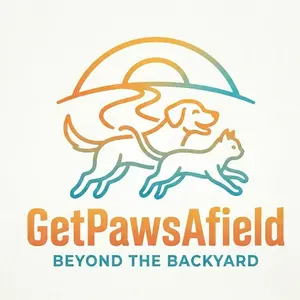 background preload poster image 