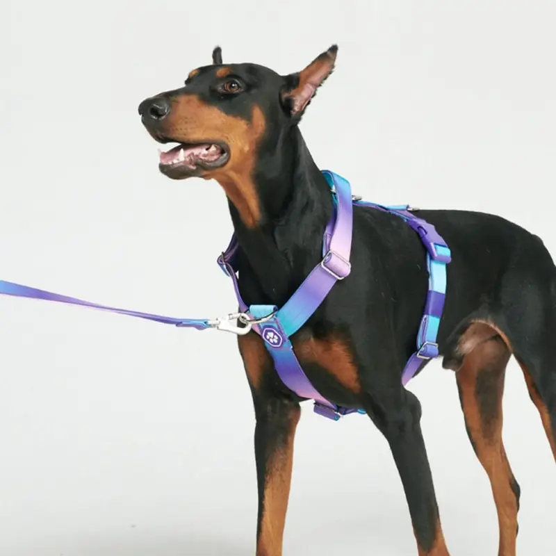 Spark Paws Comfort Control Large Dog No-Pull Harness, Halter Design with Front Clip, Durable and Heavy-Duty for Big and Strong Breeds