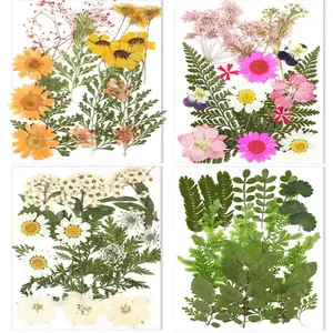 70pcs Dried Pressed Flowers Resin Craft Supplies, Wildflowers Bulk with Tweezers, DIY Christmas Crafts for Resin Molds Nail Soap Making