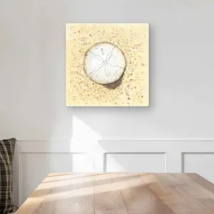 212 MAIN 16x16 in. Artistic Sand-Dollar Coastal Aluminium Metal Print Wall Artwork - Ocean Inspired Design, Metal Surface, Coastal Room Home Decor Supplies, Decoration