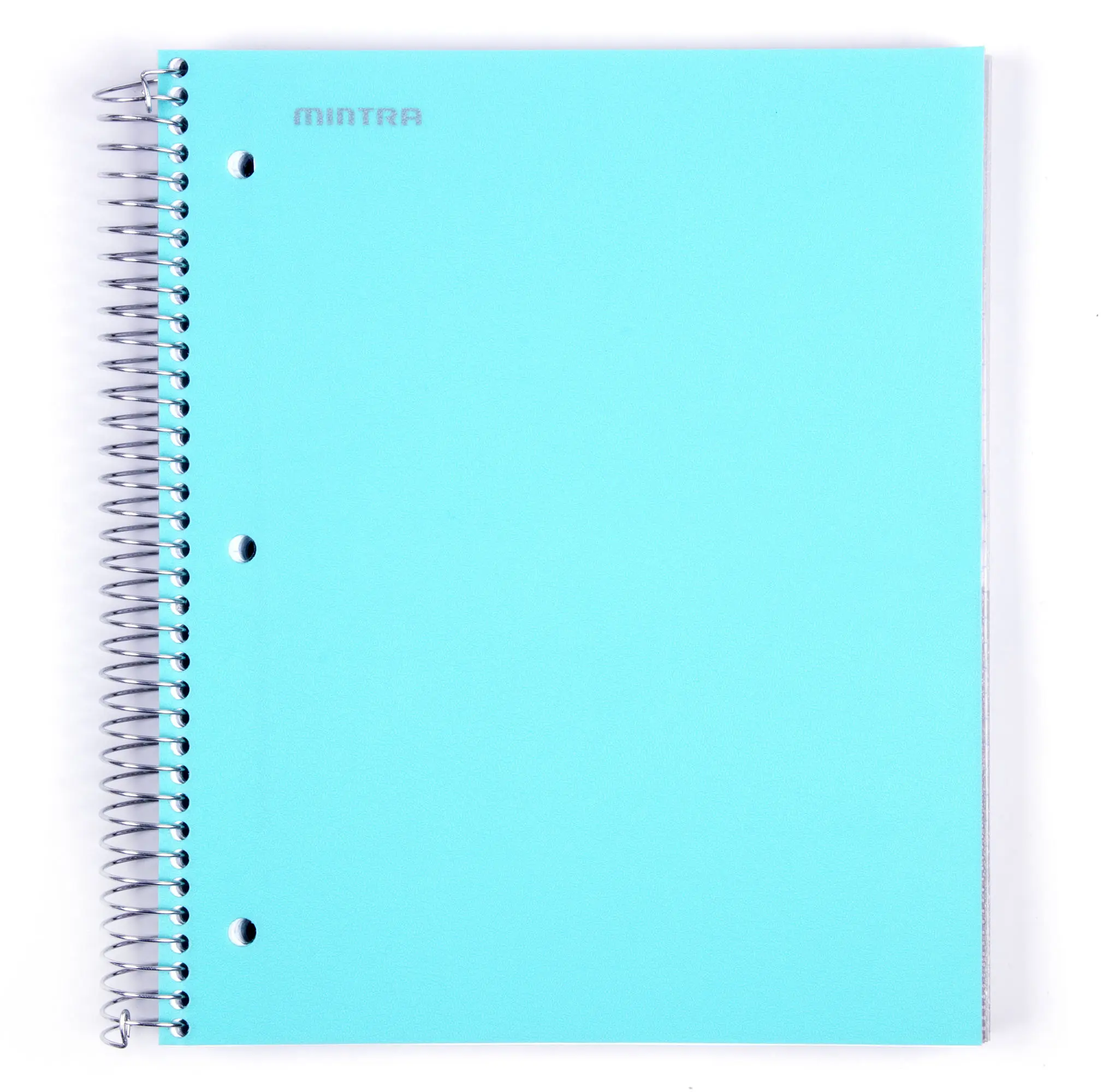 5 Subject Notebook - College Ruled - Durable Poly Cover/5 Poly Pockets/200 Sheets