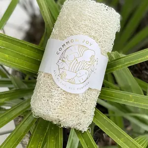 Luffa Sponge