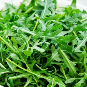Arugula | Two Live Garden Plants | Heirloom | Non-GMO, Peppery Herb, Easy to Grow