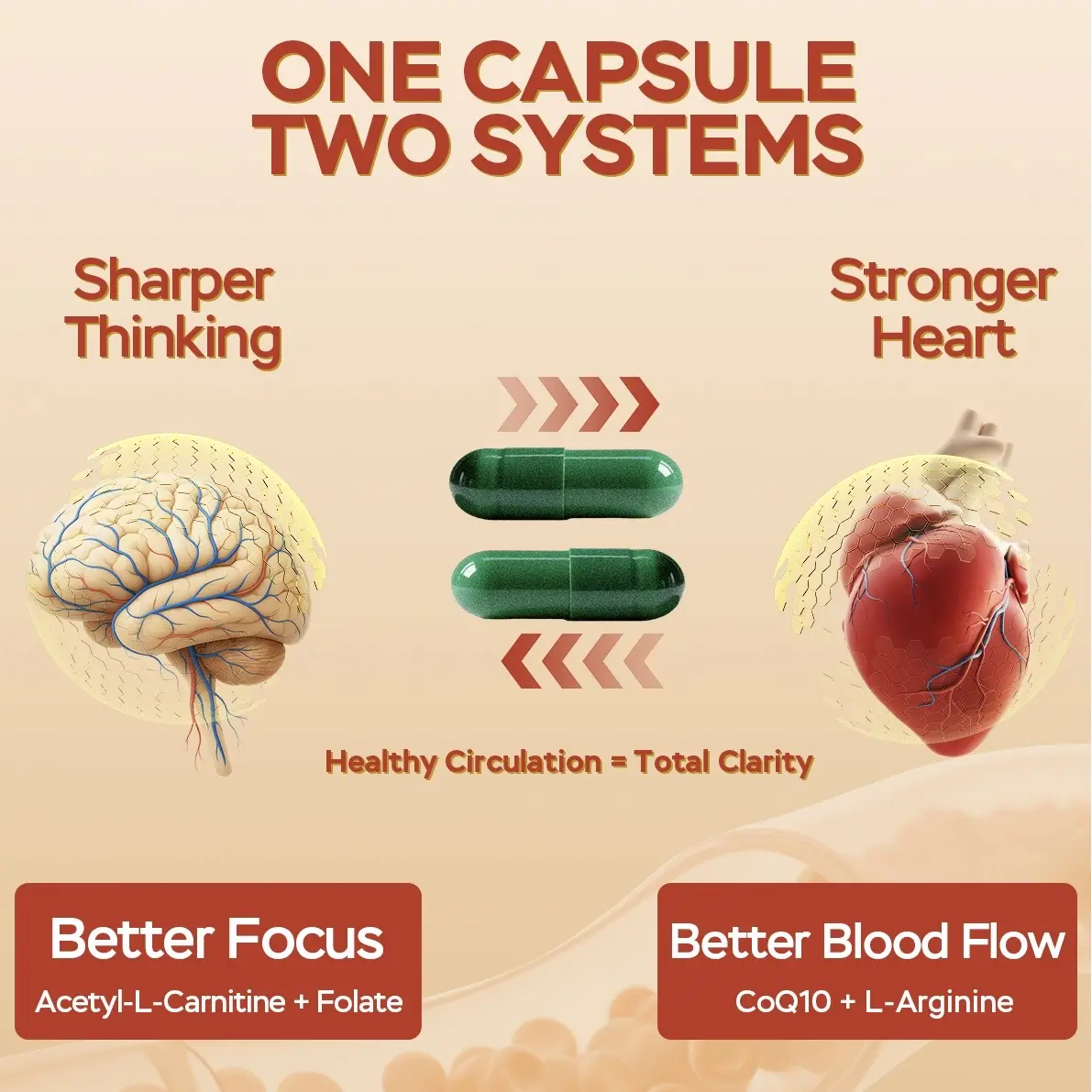 beyond raw l carnitine benefits PERYOU Cardio Balance Heart Health Supplement with CoQ10 Plant Sterols L- Arginine Resveratrol & Alpha Lipoic Acid 60 Capsules for Cholesterol Blood  Pressure Support Healthcare Vitamins Edible - Dietary, Fitness Optimum