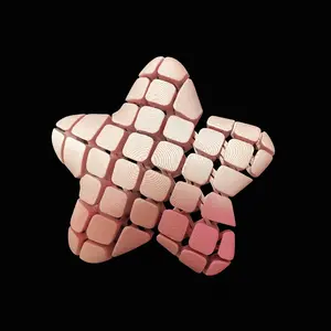 Starfish fidget/keychain