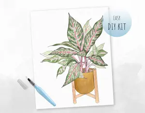 Pink Aglaonema Watercolor Kit for Beginners for plant lovers