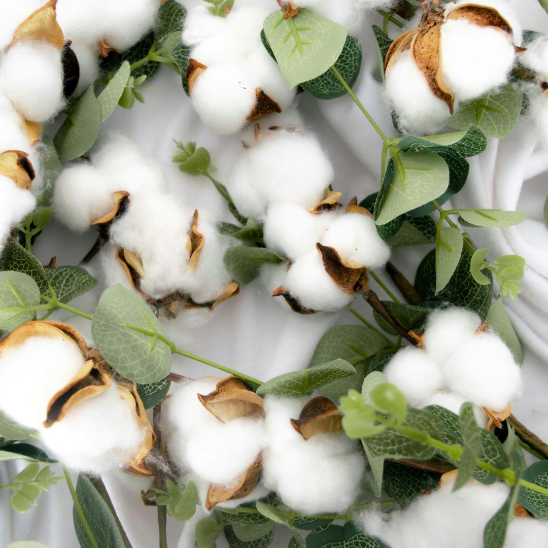 Assorted Salve Tin Trio (Coco Vanilla, Apple, Herbal Mint)