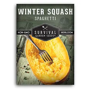Survival Garden Seeds - Heirloom Spaghetti Squash Seed - Winter Squash