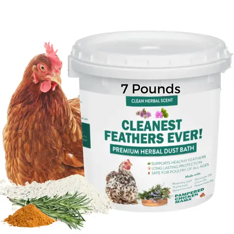 Pampered Chicken Mama Cleanest Feathers Ever Premium Herbal Dust Bath for Chickens Quail & Poultry with Mint Cinnamon Rosemary Essential Oils 7 Pounds