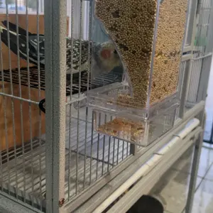 Automatic Bird Feeder Toy Transparent Acrylic Food Container for Parrots Cockatoos Canaries Cage Accessories Easy to Use