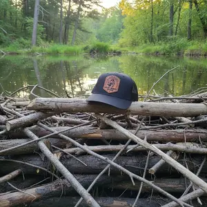 A Cleaner Beaver Gets More Wood HAT