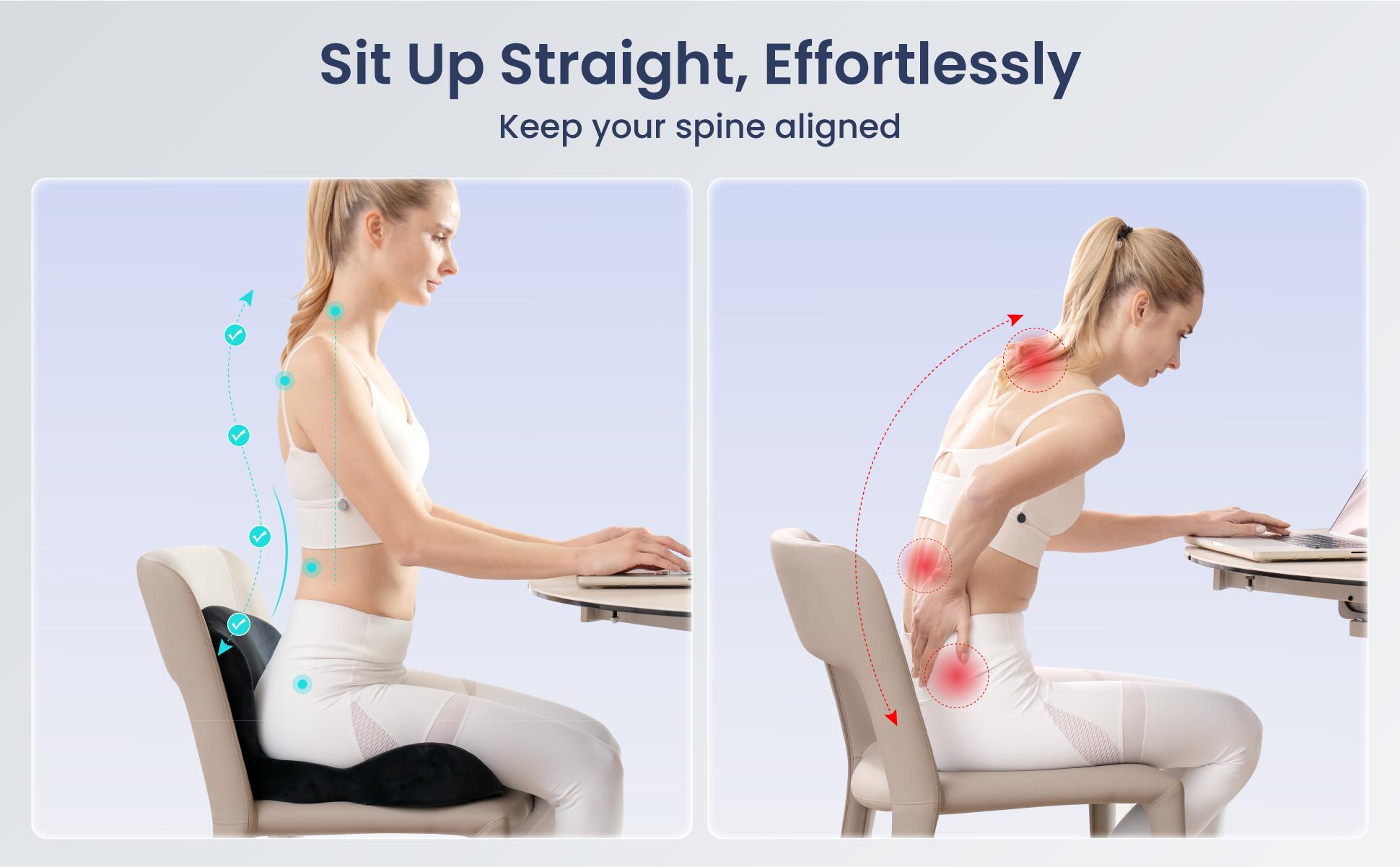 Alcedo Ergonomic Memory Foam Seat Cushion – Firm Support for Tailbone & Sciatica Pressure Relief, Non-Slip, Breathable & Washable Cover, Office Chair & Car Seat Cushion Alcedo Ergonomic Memory Foam Seat Cushion – Firm Support for Tailbone & Sciatica Pressure Relief, Non-Slip, Breathable & Washable Cover, Office Chair & Car Seat Cushion