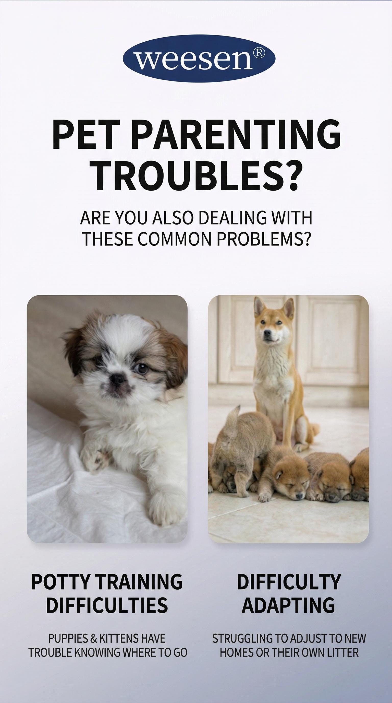 Dog Potty Training Spray | Go Here Puppy Pee Attractant Spray for Housebreaking Natural Formula Indoor & Outdoor 5 Fl OZ