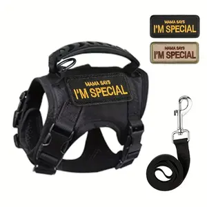 Adjustable Cat Walking Harness with Leash, Soft Polyester Mesh Material for Comfort, Escape-Proof Design with Cute 'i'm Special' Sticker