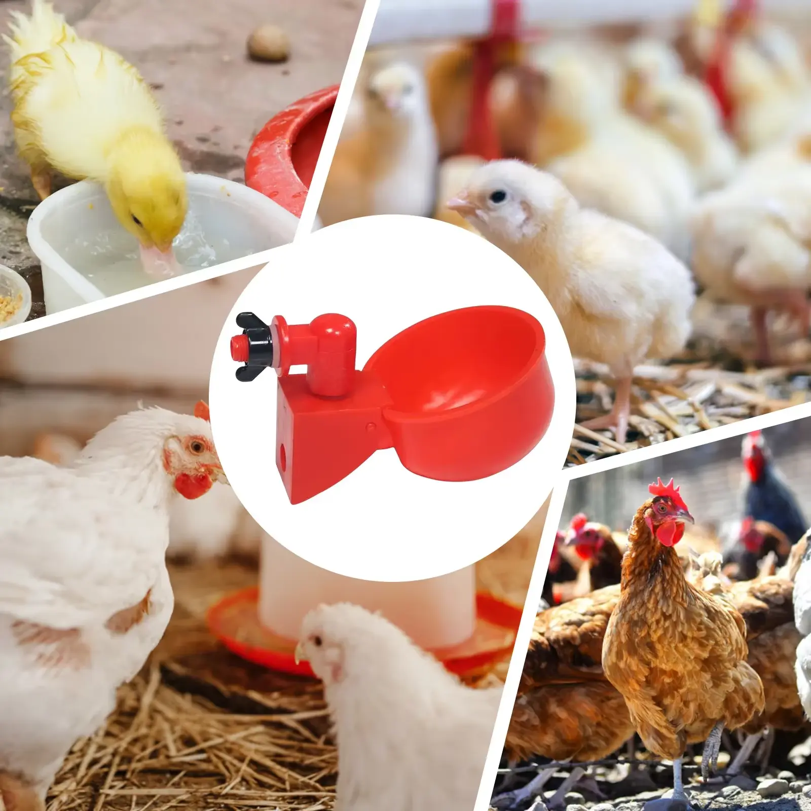 Chicken Waterer Cups – Automatic Gravity-Fed DIY System (6–36 Pack)