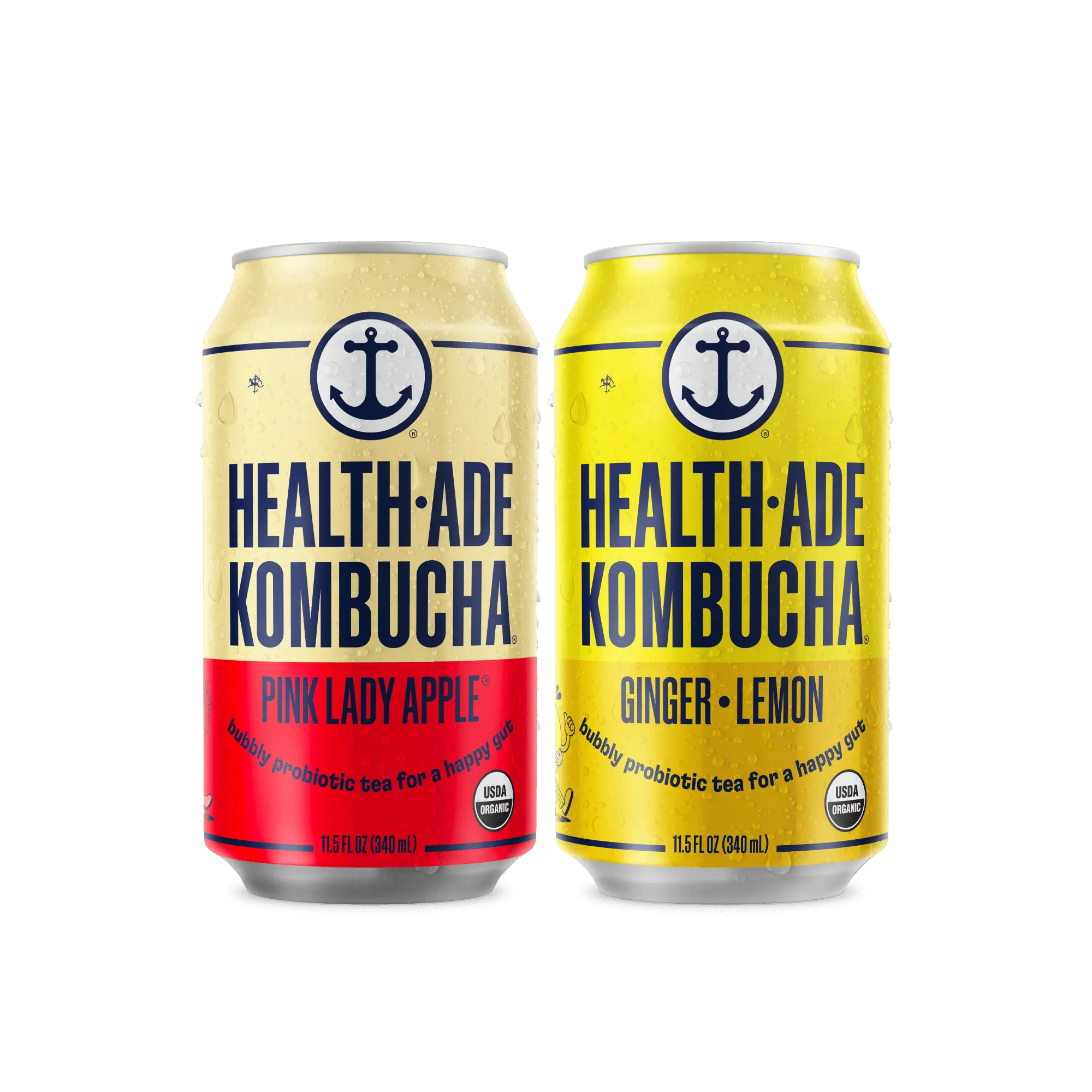 Bright Side Kombucha Variety Pack in Cans