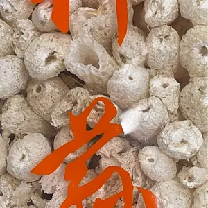 harvest day dried bamboo fungus 1 Lb 454g