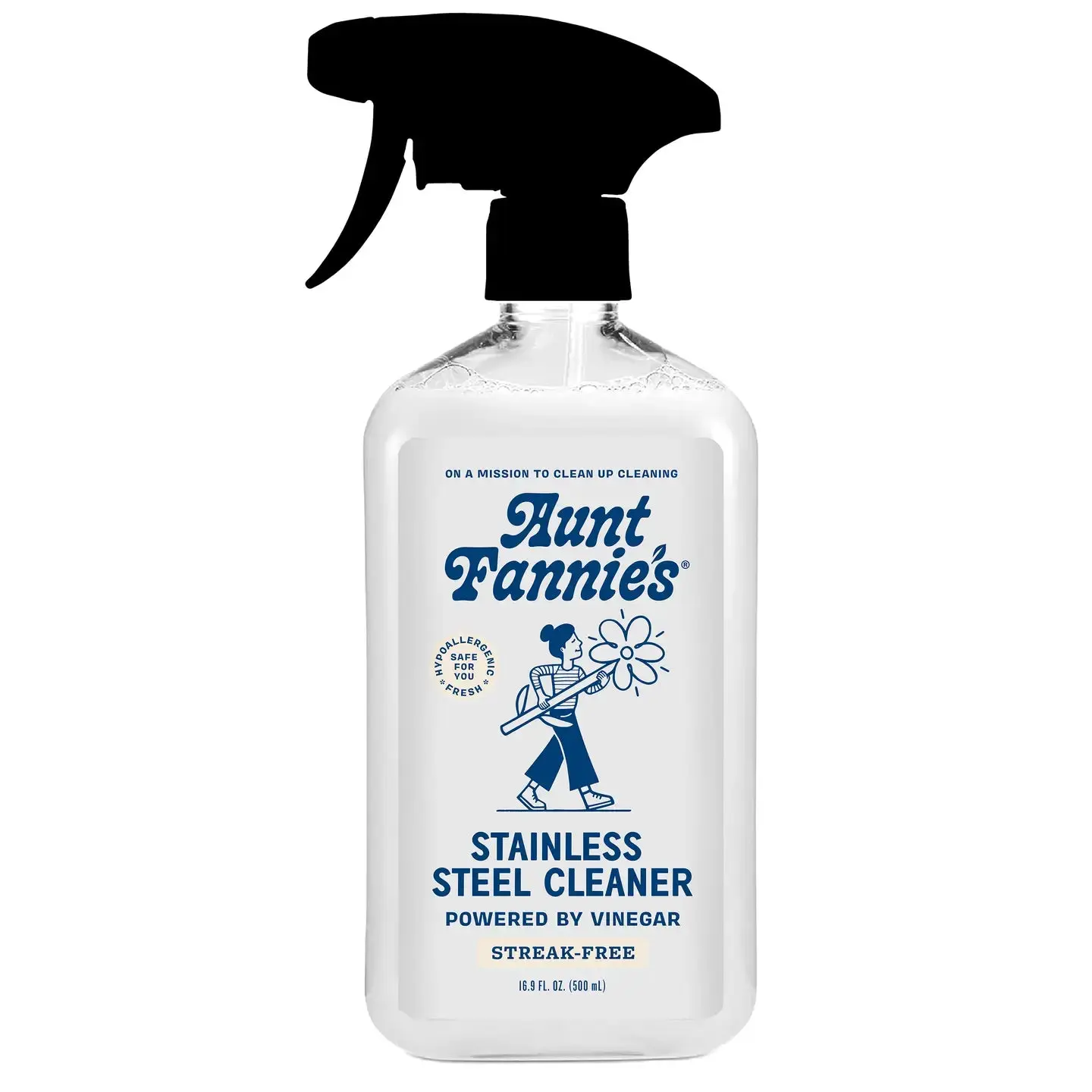 Aunt Fannie's - Stainless Steel Cleaner