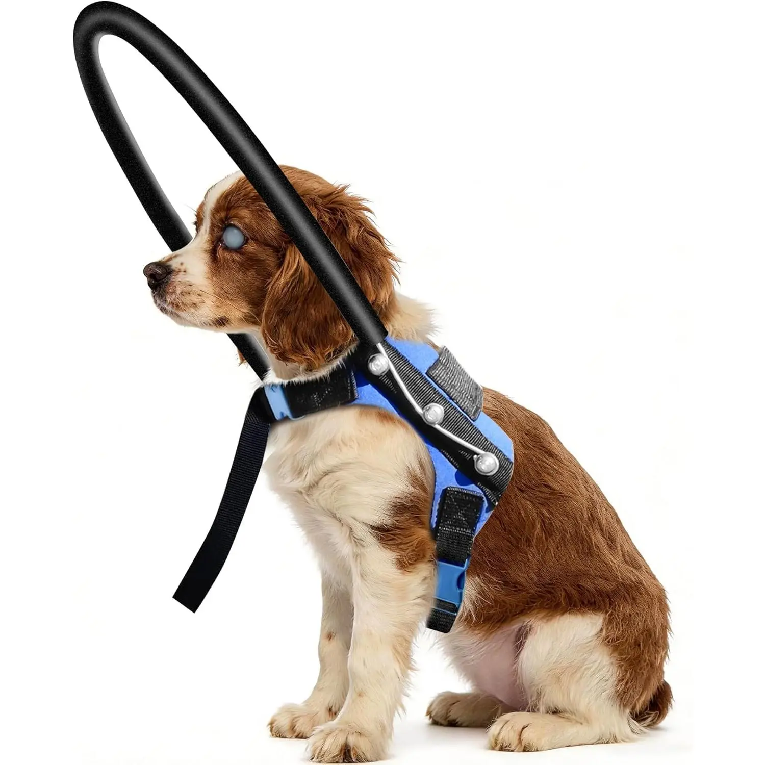 Protective Halo Harness for Blind Dogs,Adjustable Protective Ring Collar Vest, Safe Walking Navigation Aid for Visually Impaired Dogs (13"-17")