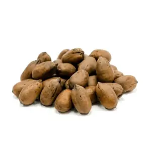 Paper Shell Pecans