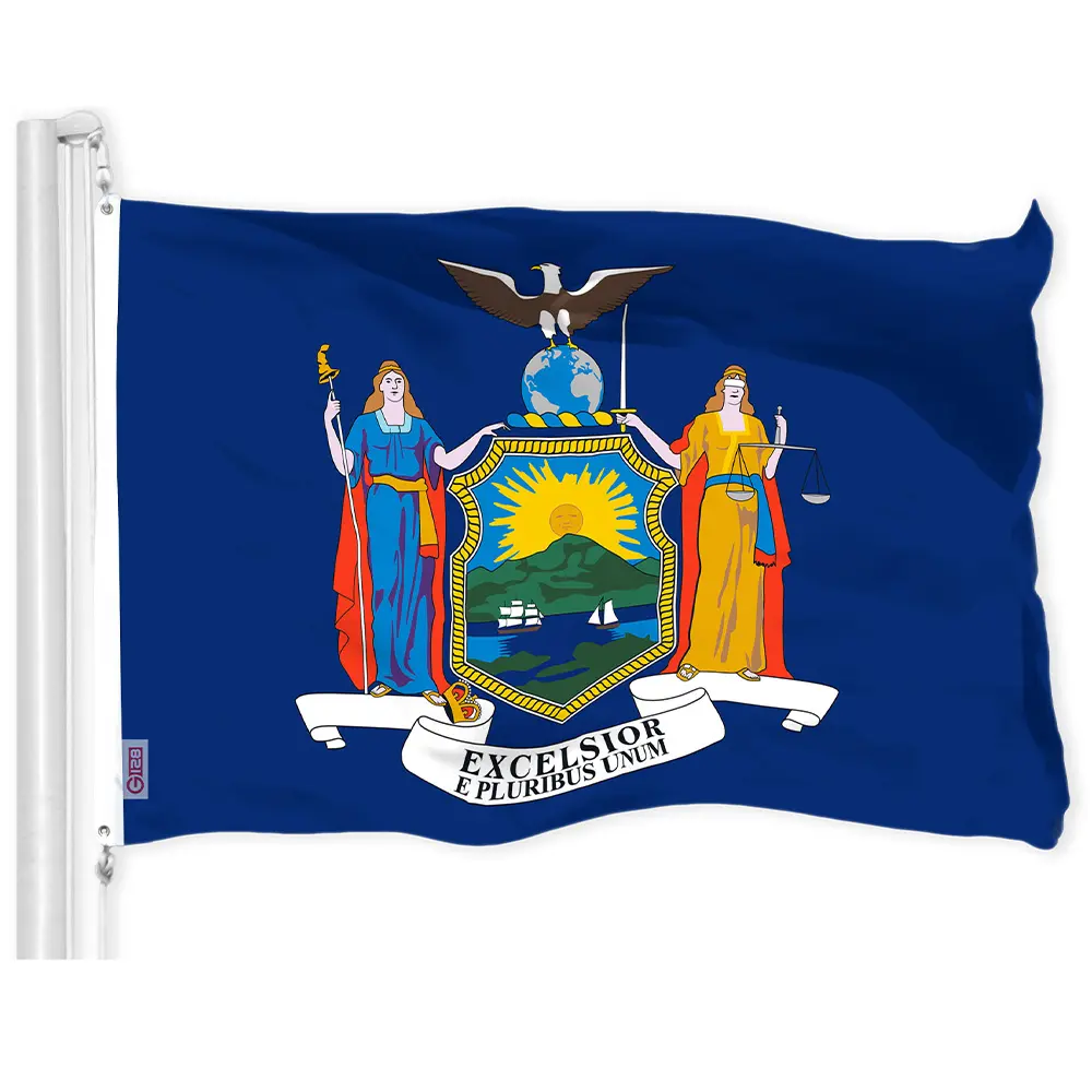 G128 New York NY State Flag | 3x5 Ft | LiteWeave Pro Series Printed 300D Polyester | Indoor/Outdoor, Vibrant Colors, Brass Grommets, Thicker and More Durable Than 100D 75D Polyester
