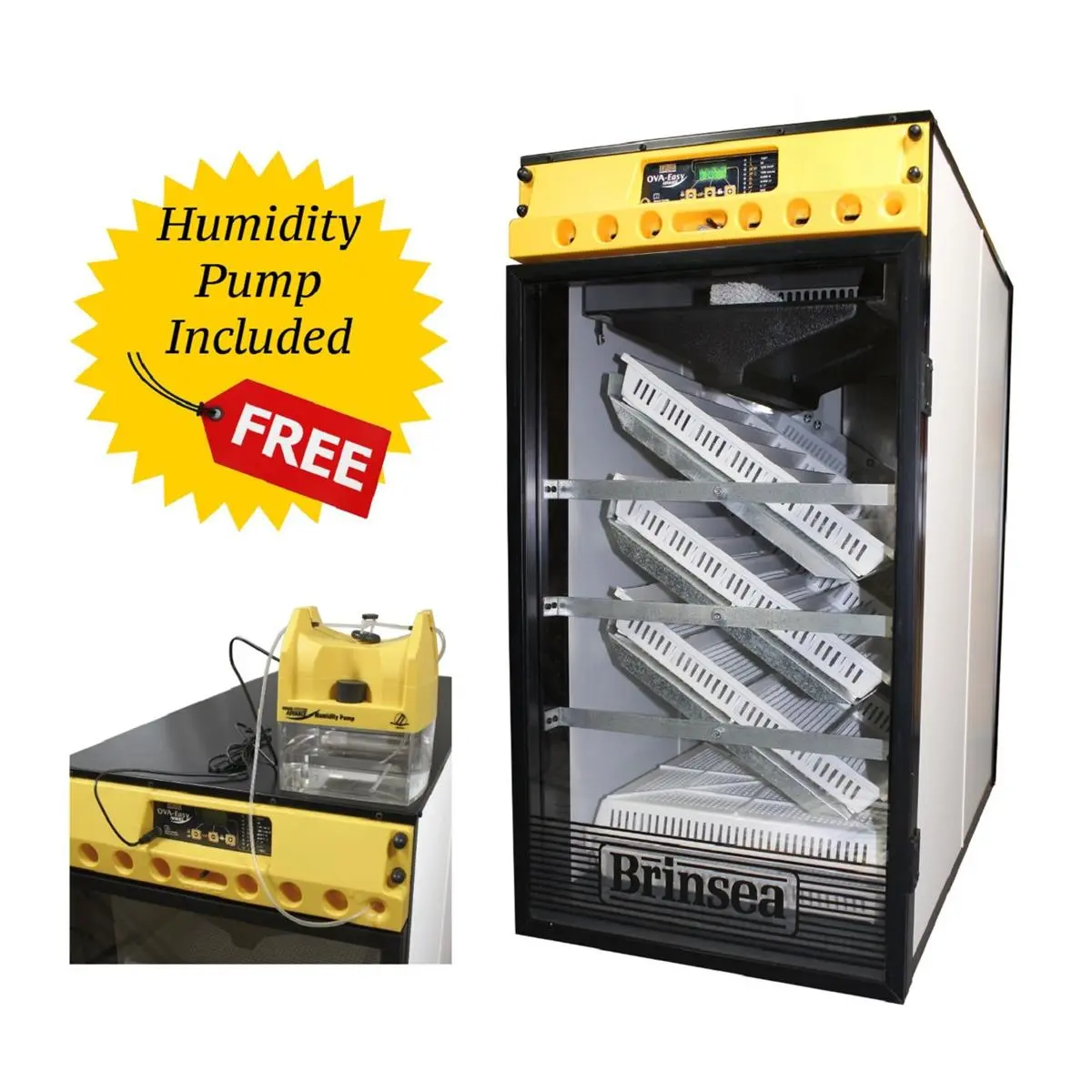 Brinsea Products Ova-Easy 380 Advance Series II Cabinet Incubator - External Humidity Pump, Automatic Humidity Control, 2 Covered Hatching Trays, 6 Universal Egg Trays, 37" H x 22" W x 37" L, 80 lbs, Metal Frame, Humid Control
