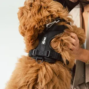 Walk Kit Set: Black - Comfy and Stylish Dog Walking Experience
