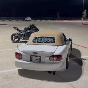 Insane Logo Rear Window Banner