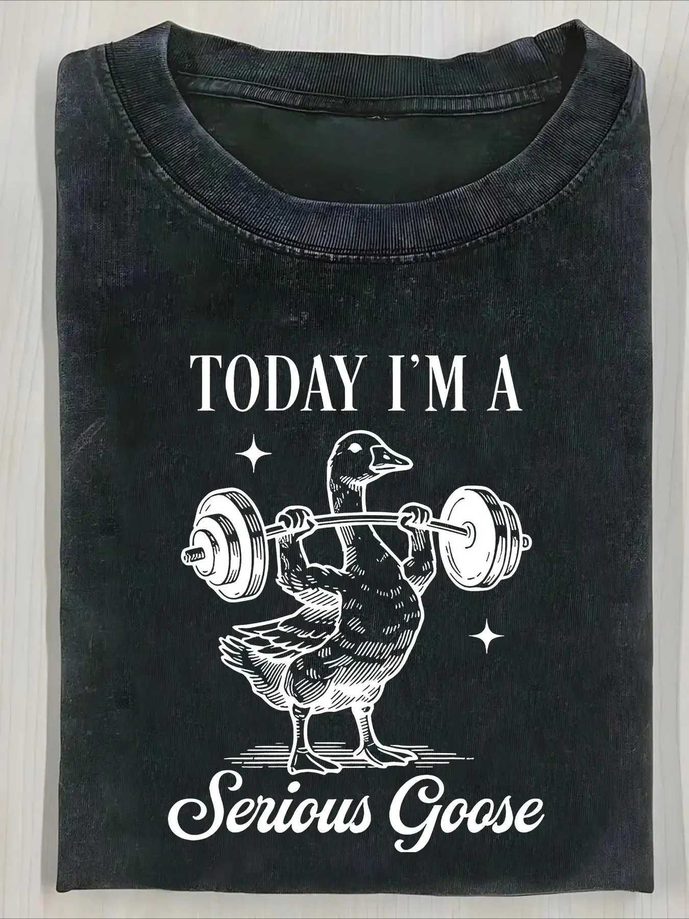 Men'S Funny "Today I'm a Serious Goose" Graphic T-Shirt - 230g Heavyweight Cotton Streetwear Tee with Weightlifting Goose Design, Loose Fit Casual Shirt for Gym, Outdoor & Gifts (Halloween, Thanksgiving, Christmas) - All-Season Comfort, Dur