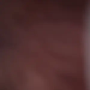 review image 4