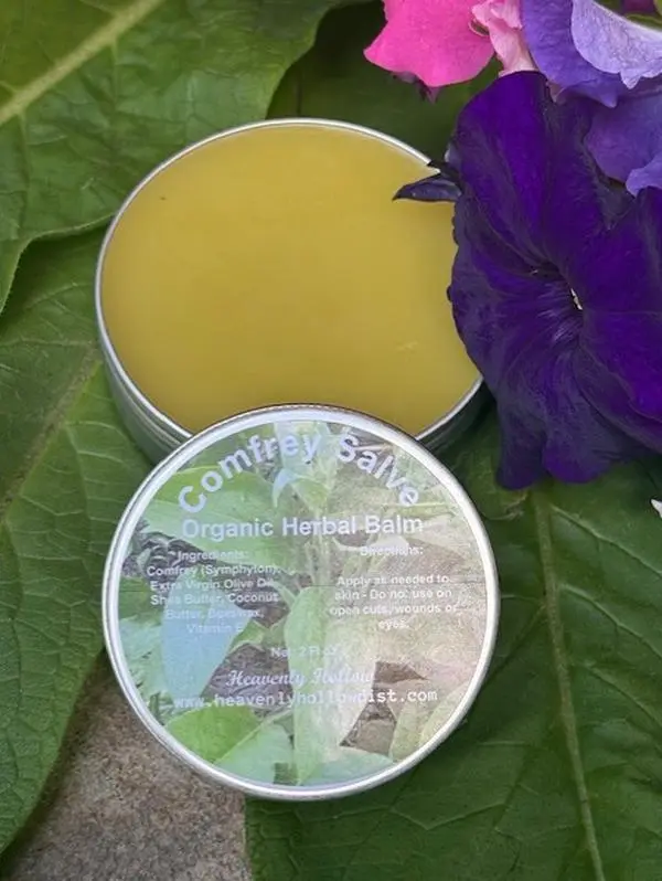 Comfrey Salve Infused Herbal Remedy, Organic Skin Care, All-Natural Herbal Salve, Botanical Skin Care