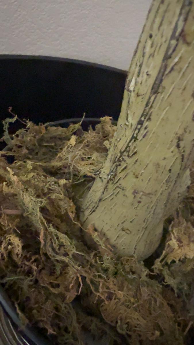 Item: 6FT 863 Leaves 36 Fruits