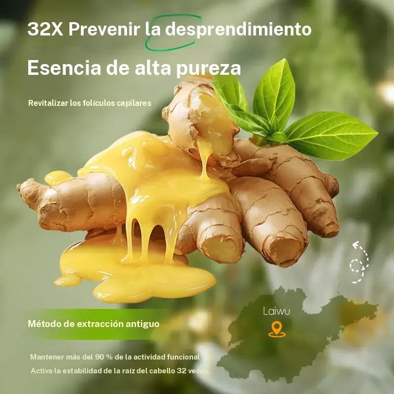 Deliiston Shampoo and Conditioner 300ml, contains ginger extract to strengthen the hair roots, moisturize the hair, and make it soft and easy to comb.