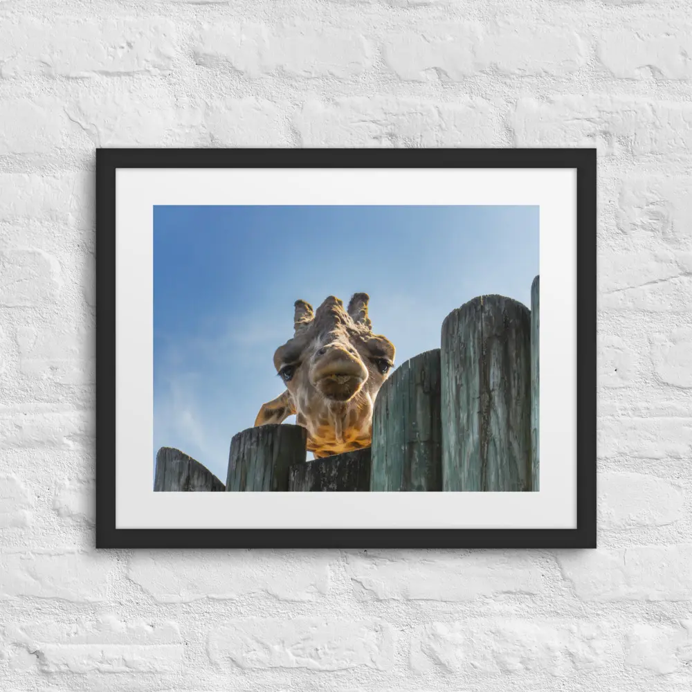 "Curious Giraffe" — Whimsical Wildlife Art Framed Poster