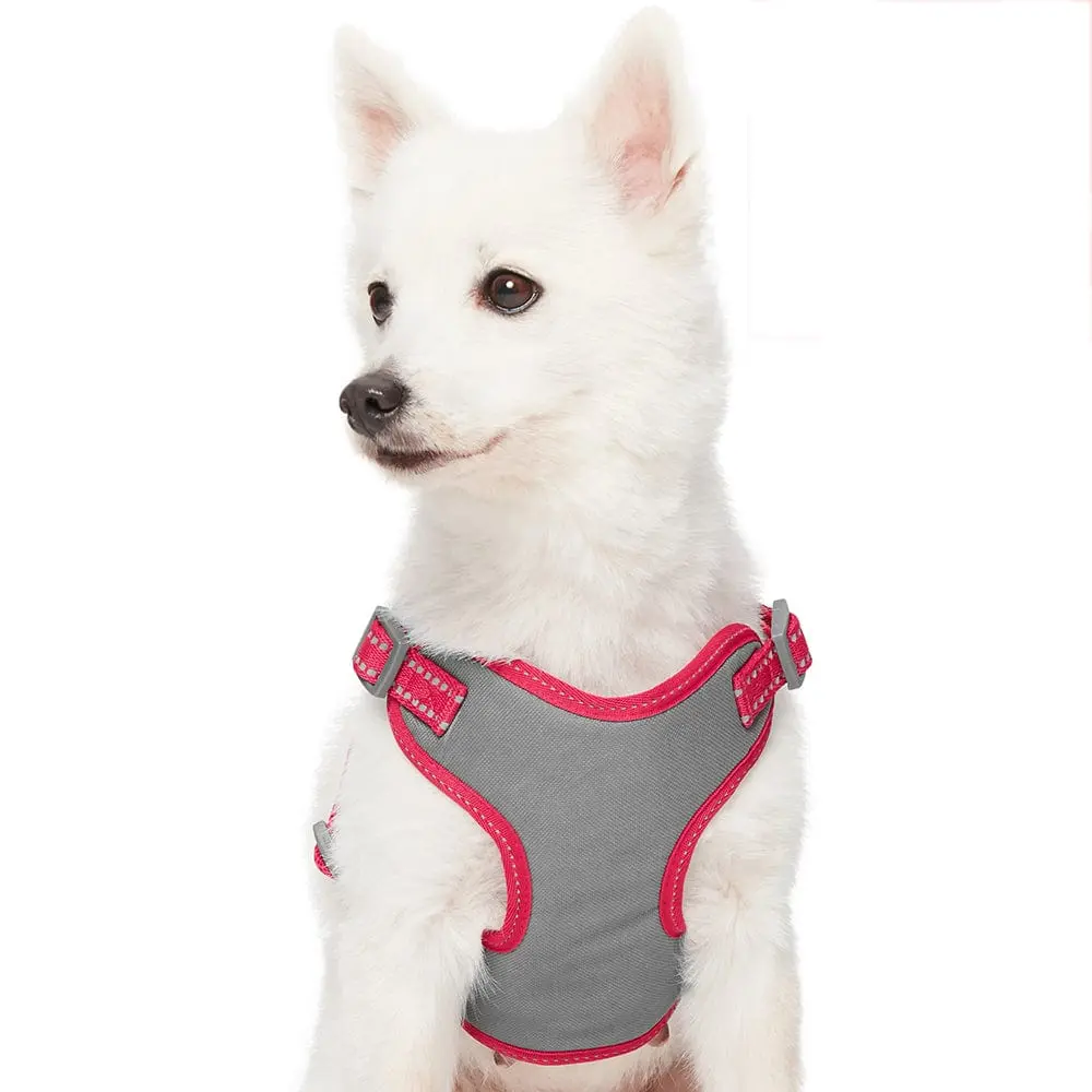 Pastel Reflective Dog Harness Vest For Night Safety