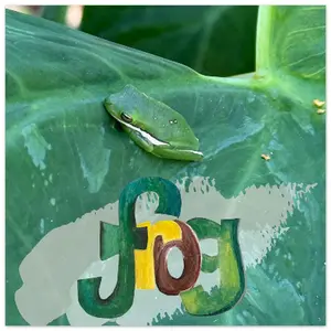 🌿 Frog on Leaf Poster – Boggy Bayou Locals Collection 🐸