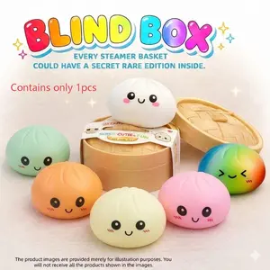 1 Count Expressive Big Dumpling Squishy Blind Box, Mysecret Bun Fidget Toy, Soft TPR Stress Relief Toy, Random Style Mystery Gift Box for Kids and Adult