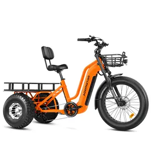 ADDMOTOR Greattan D Cargo Electric Tricycle, Dual Battery System 48V 20AH/40AH Large Cargo Basket Electric Trike