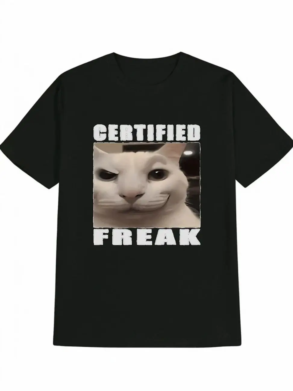 Women's Classic Short-Sleeve Cotton Fabric Casual Crew Neck T-Shirt with Fun 3D Print - Black "DROPKICK MURPHY LFN" Clothes, Shortsleeve, Fitted