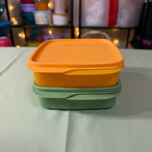 Tupperware Eco Lunch Square