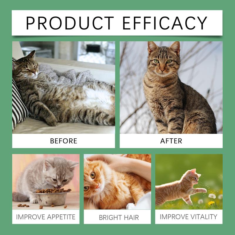Cat Grass Tablets - Care for Pet Health - Specialized for Cats and Dogs - Absorb Nutrients - Rich in Dietary Fiber Tabletslitter pellets, spray, litter tray, litter box, removal