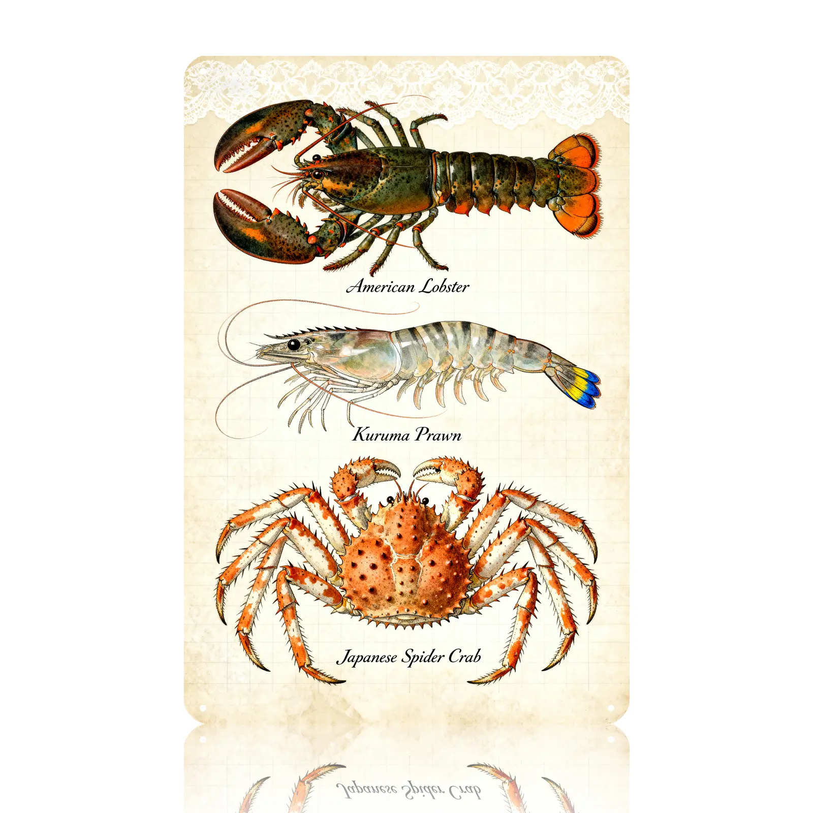 CASINIS Seafood Metal Signs Vintage Ocean Wall Art Lobster Shrimp Crab Marine Poster HD Printed Waterproof Durable Easy to Hang for Beach House Kitchen Restaurant Office Decor Gift 8x12inch (20x30cm)