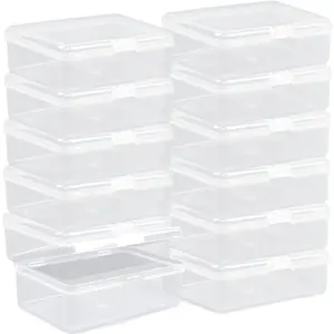 Clear Plastic Mini Storage Containers Box - Empty Plastic Bead Containers with Lids - Hinged Lid for Beads, Earplugs, Pins, Small Items - 12 Pack (5.6 x 4.1 x 1.9 inch)