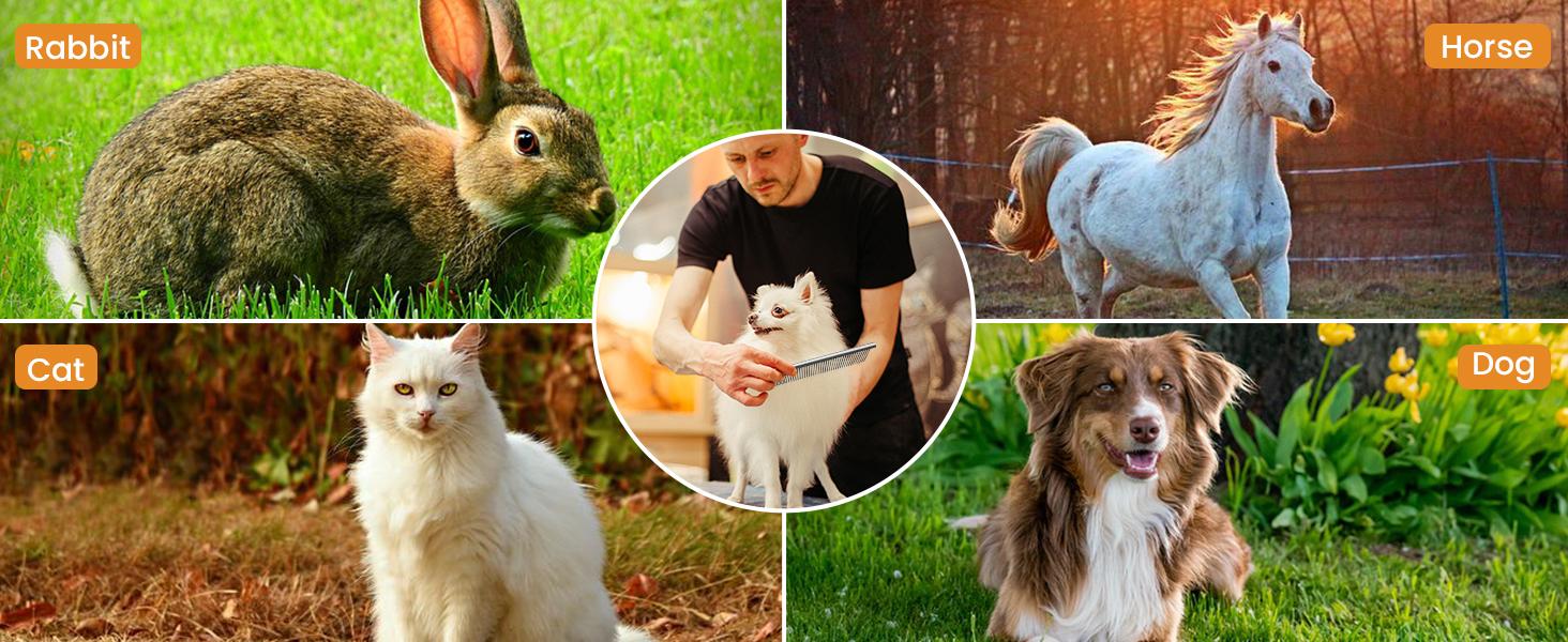 2-in-1 Stainless Steel Pet Comb Set for Dogs & Cats - 3 Pack Grooming Combs in Large Medium Small Sizes for Long Short Curly Hair Detangling Matted or Knotted Undercoat  brush  comb Multifunctional Flea