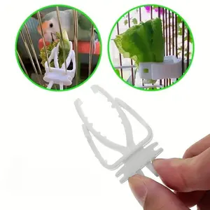 3 pcs Small Pet Bird Food Rack Parrot Fruit & Vegetable Clip Cuttlefish Bone Feeder Bird cage accessories Hanging Bird Feeder