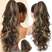 Chocolate Brown with Highlights