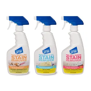 Stain Removal Kit