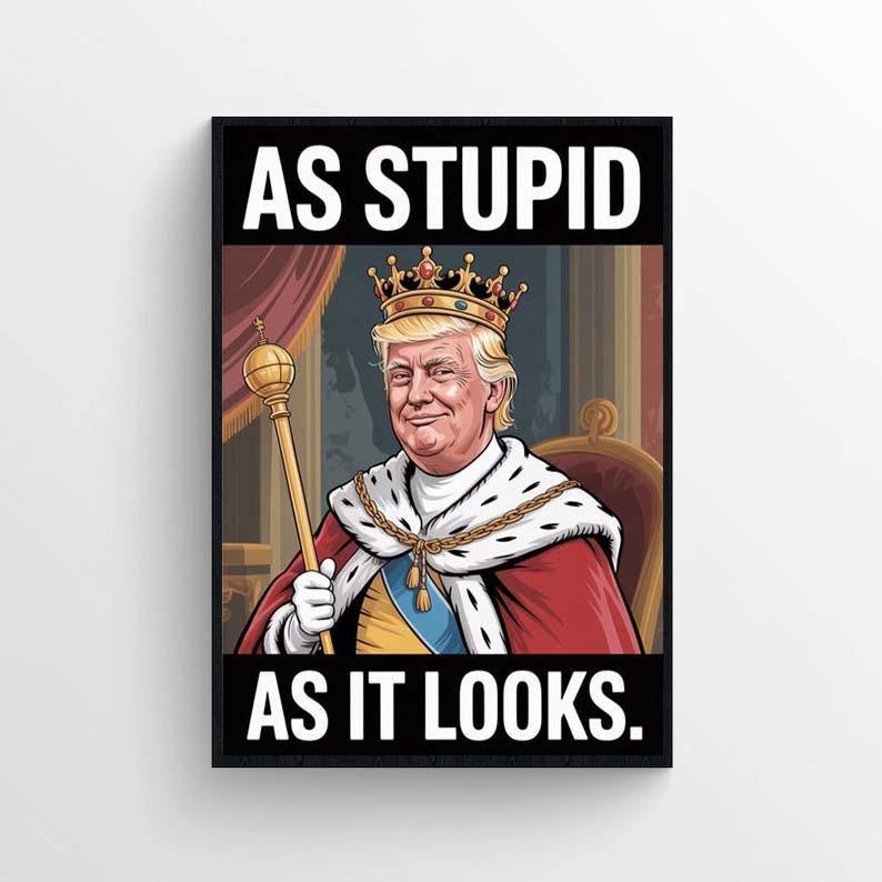 As Stupid As It Looks Protest Poster Unframed , Anti-Trump No Kings wall art