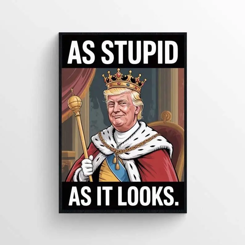 As Stupid As It Looks Protest Poster Unframed , Anti-Trump No Kings wall art