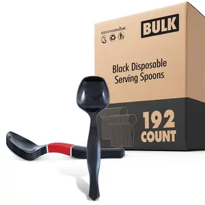 Black Disposable Serving Spoons (192 Pack)